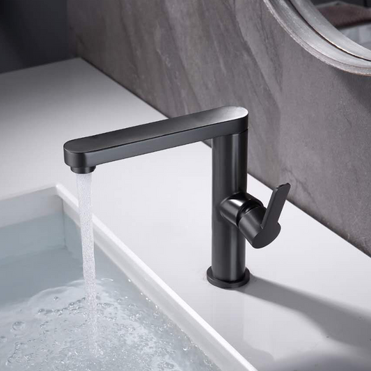 Baterie Lavoar, Alama Sanitara, Negru, 9107H