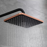 Coloana Dus, Alama Sanitara, Negru cu Roz-Gold, 10010H-M