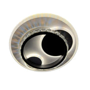 Lustra LED  cu cristal ARIELLA 39W, Rotunda,  lumina Rece/Calda/Neutra, Negru